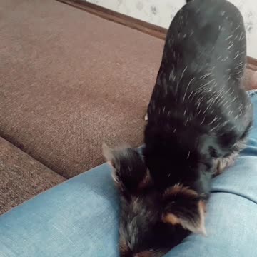 The effort brought success