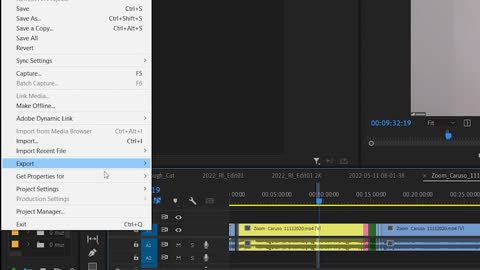 Trouble Shooting Premiere 2022: Individual Color labels for cuts and the new Export tab workflow
