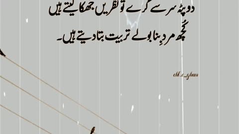 Beshak