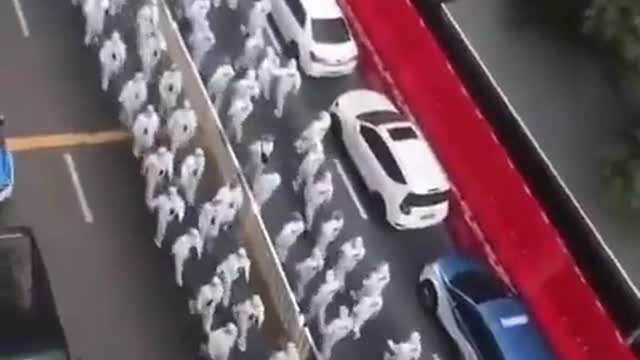 Continua un lockdown brutale a Shenzhen in Cina per 150 test positivi.