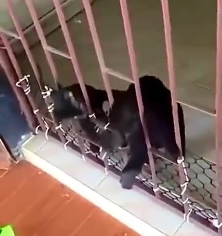 Oh my, how divinely heavenly is this.