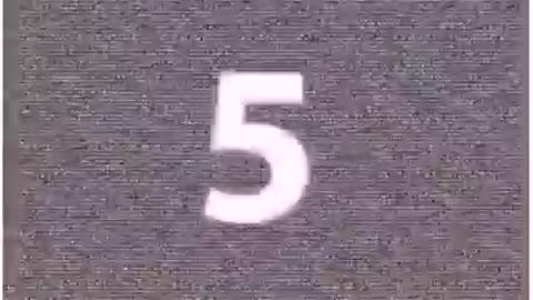 Best Funny animais vídeos