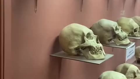 FORBIDDEN FOOTAGE FROM BOLIVIEN MUSEUM