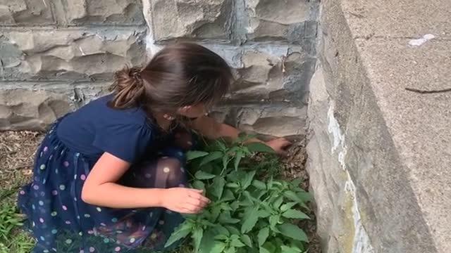 Girl Attempting to Help Frog Backfires