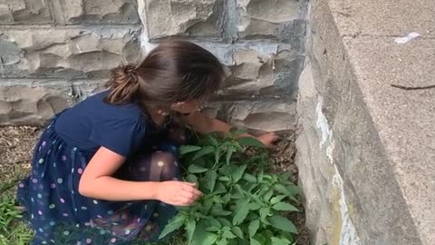 Girl Attempting to Help Frog Backfires