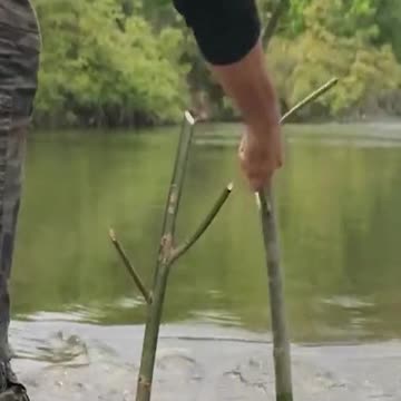 funny|prank|jokes|funny jokes|dad jokes|funny memes|funny video|fun|laughing|funny animal|knock