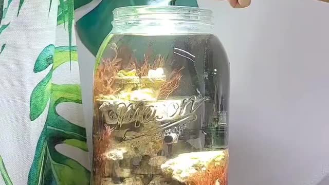 Beautify the jar