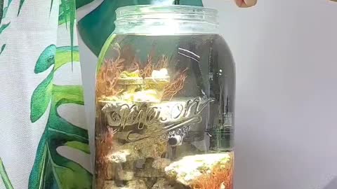 Beautify the jar