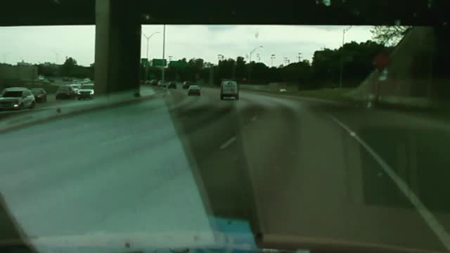 Taking a Nature Walk on a Busy Highway