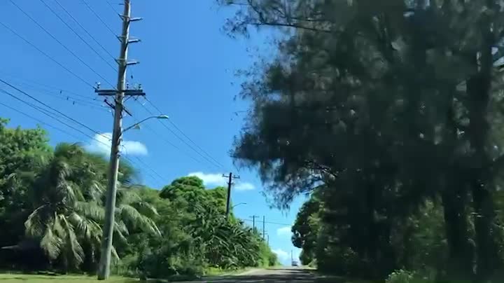 Drive in a red Mustang.