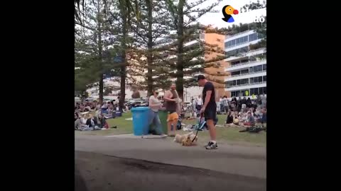 Dog PLAYS DEAD to Avoid Going Home While Park Crowd Watch