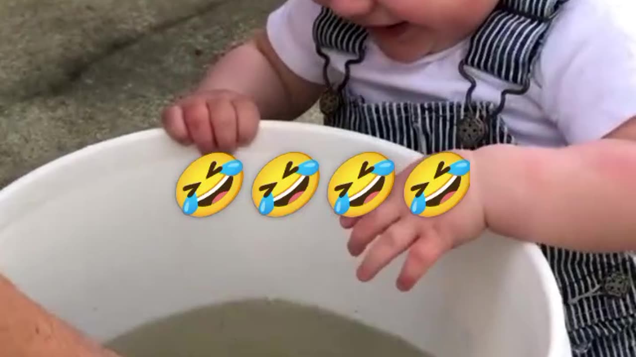 The Child Pick The Fish #funny #laughing