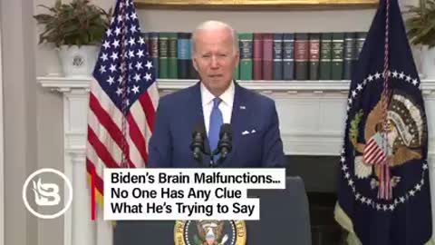 BIDEN brain stops working