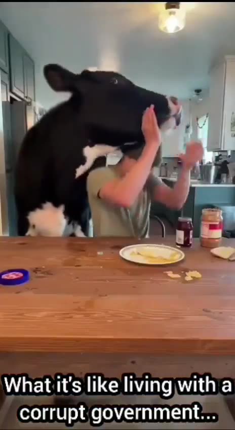 Living with a corrupt government.