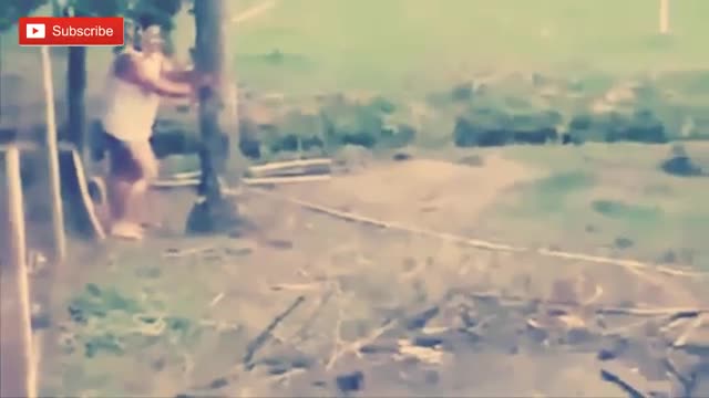 Mountain Goat vs Man - Extremely Funny Fight