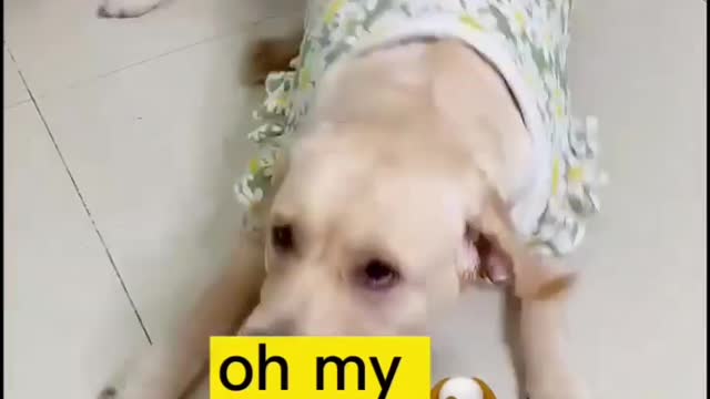 It's hard to feed you medicine my new puppy