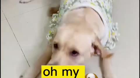 It's hard to feed you medicine my new puppy