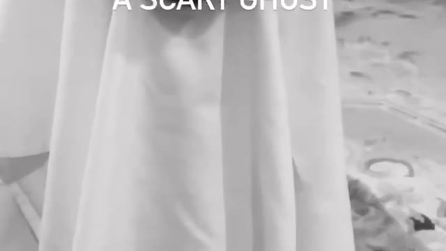 Funny dog dresses up as a scary ghost