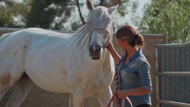 Woman Walking with Horse