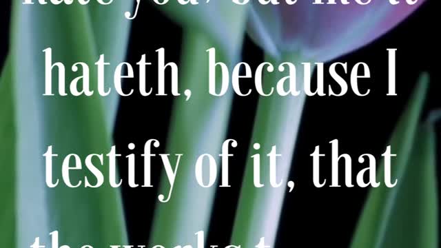 John 7:7 “The world cannot hate you; but me it hateth, because I testify of it,