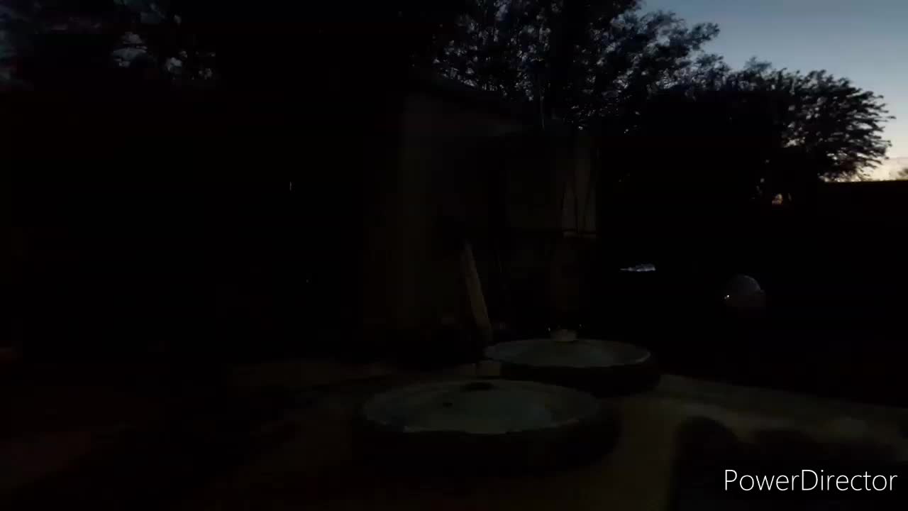 Birb Time!
