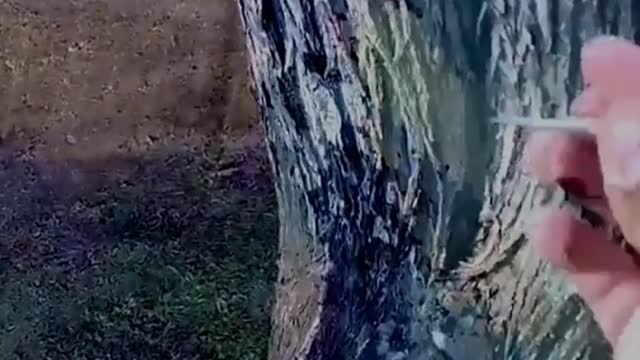 This visualization will blow your mind!!!!!!!!