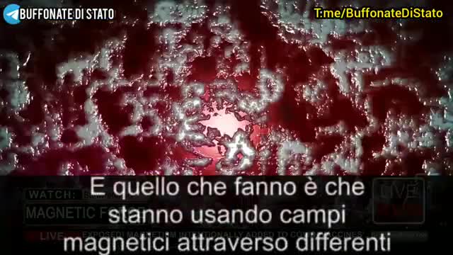 La Dott.ssa Jane Ruby ci spiega il magnetismo dei vaccini o maghetofezione