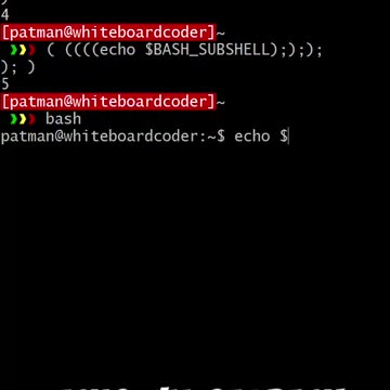 linux: shell vs subshell