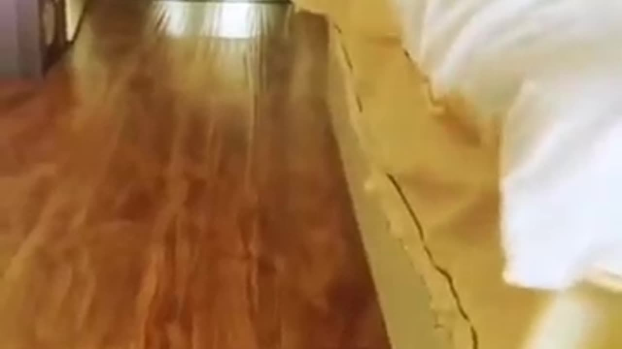 😂😂😂😂