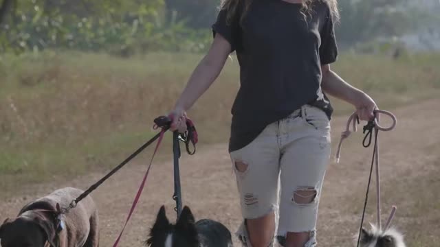 Massive Newfoundland Thinks He's A Tiny Lap Dog !