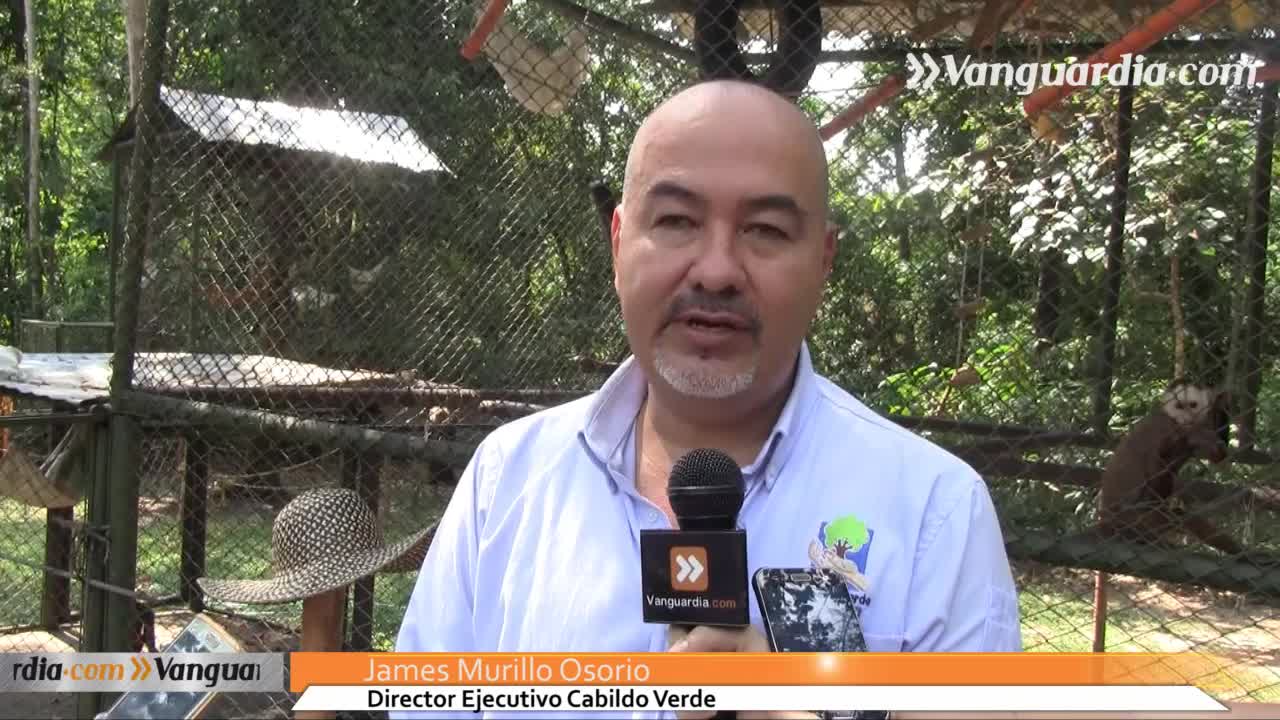 El ‘mágico’ mundo al interior de Cabildo Verde en Santander