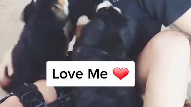 Hope this made you smile ❤