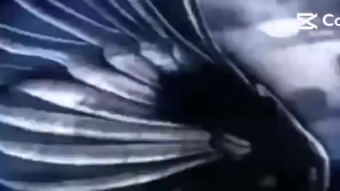 Short video