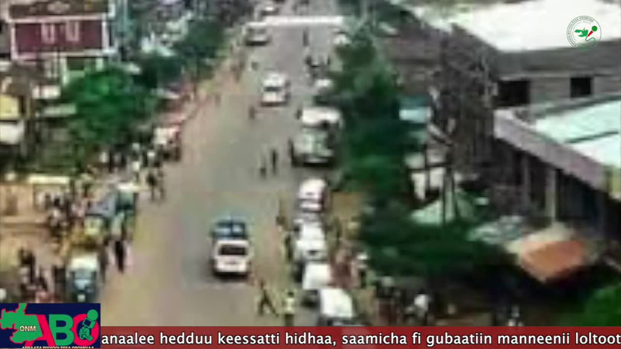 Oduu Ganama ONM-ABO Muddee 9-2024 itti dhiyaadhaa!