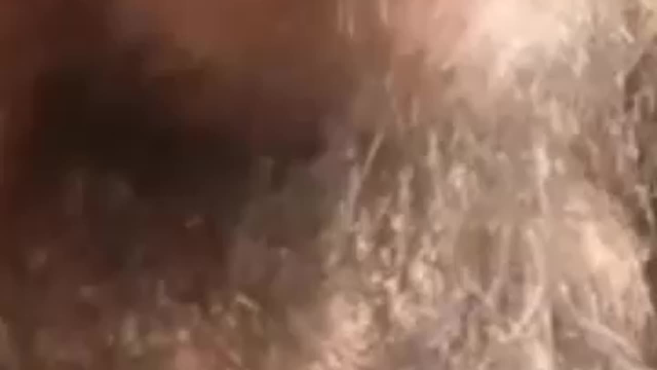 ΑΚΟΥΣΟΝ ΑΚΟΥΣΟΝ - ΠΡΟΤΡΕΠΕΙ ΝΑ ΚΑΝΟΥΝ ΜΕΤΑΝΟΙΑ ΣΤΑ ΣΥΣΤΗΜΑΤΑ!!!