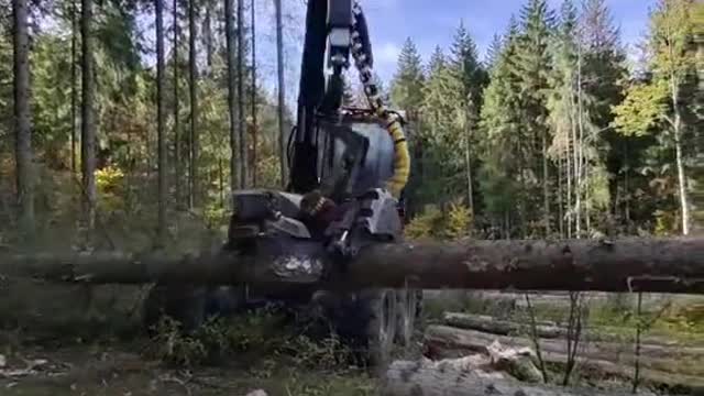 Mechanical logging