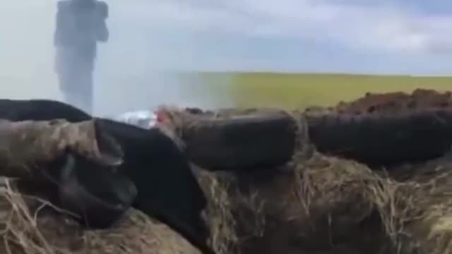 The Ukrainian military from MANPADS fired at their own MiG-29