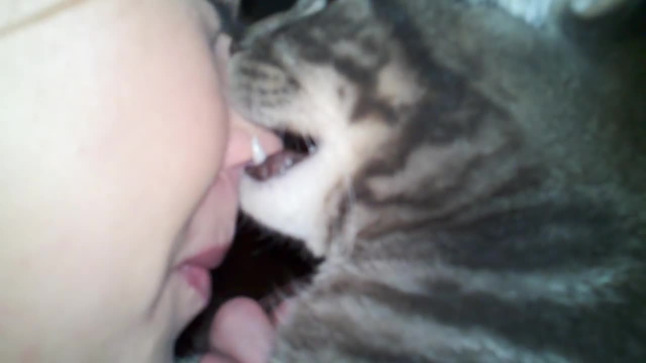 Cat bites girls face and wont let go