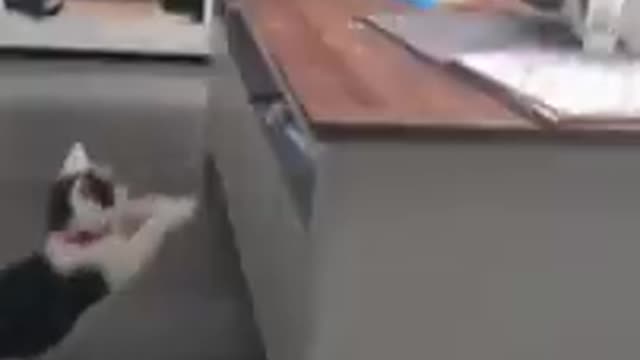 # Shorts | Super Funny Video 😄