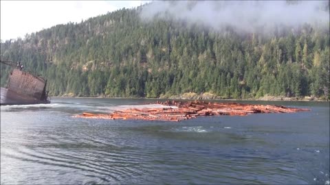 Log Barge Dumps