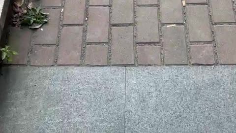 Take a boring walk