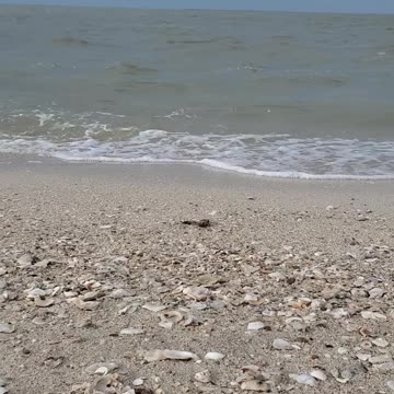 Gulf Coast Texas beach