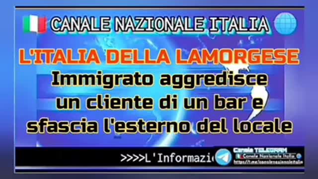 L'ITALIA DELLA LAMORGESE Immigrato aggredisce un cliente in un bar e sfascia l'esterno del locale