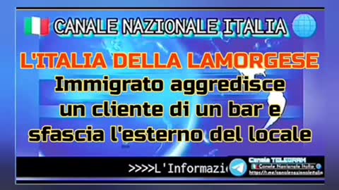 L'ITALIA DELLA LAMORGESE Immigrato aggredisce un cliente in un bar e sfascia l'esterno del locale