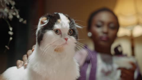 A Woman Petting her Cat On The Dining Table