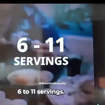 The Food Pyramid is a SCAM?