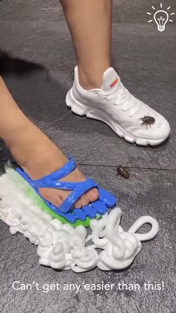 The weirdest videos you've ever seen!