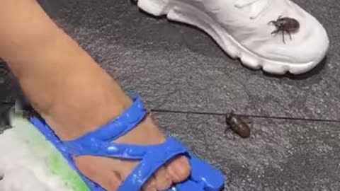 The weirdest videos you've ever seen!