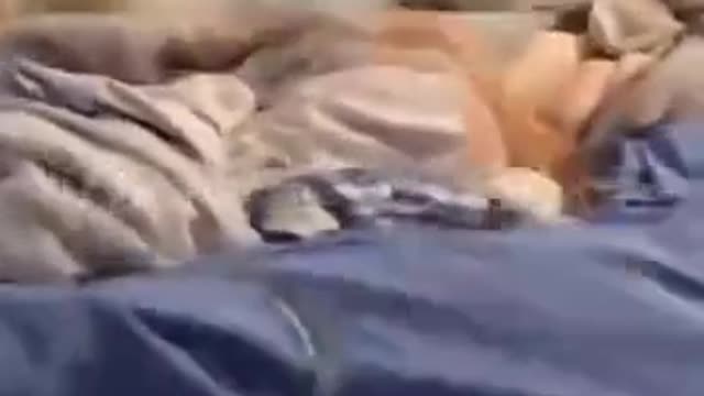 Diane Wants her Vaccine-Injury Story Shared