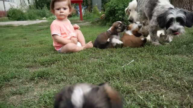 Cute Baby Playing With Dogs-2021-#Manusaiyed